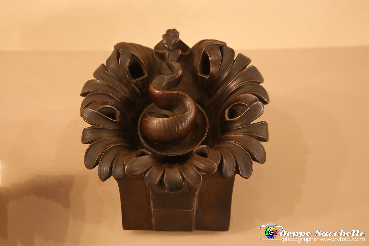 VBS_5175 - Liberty - Torino Capitale.jpg
